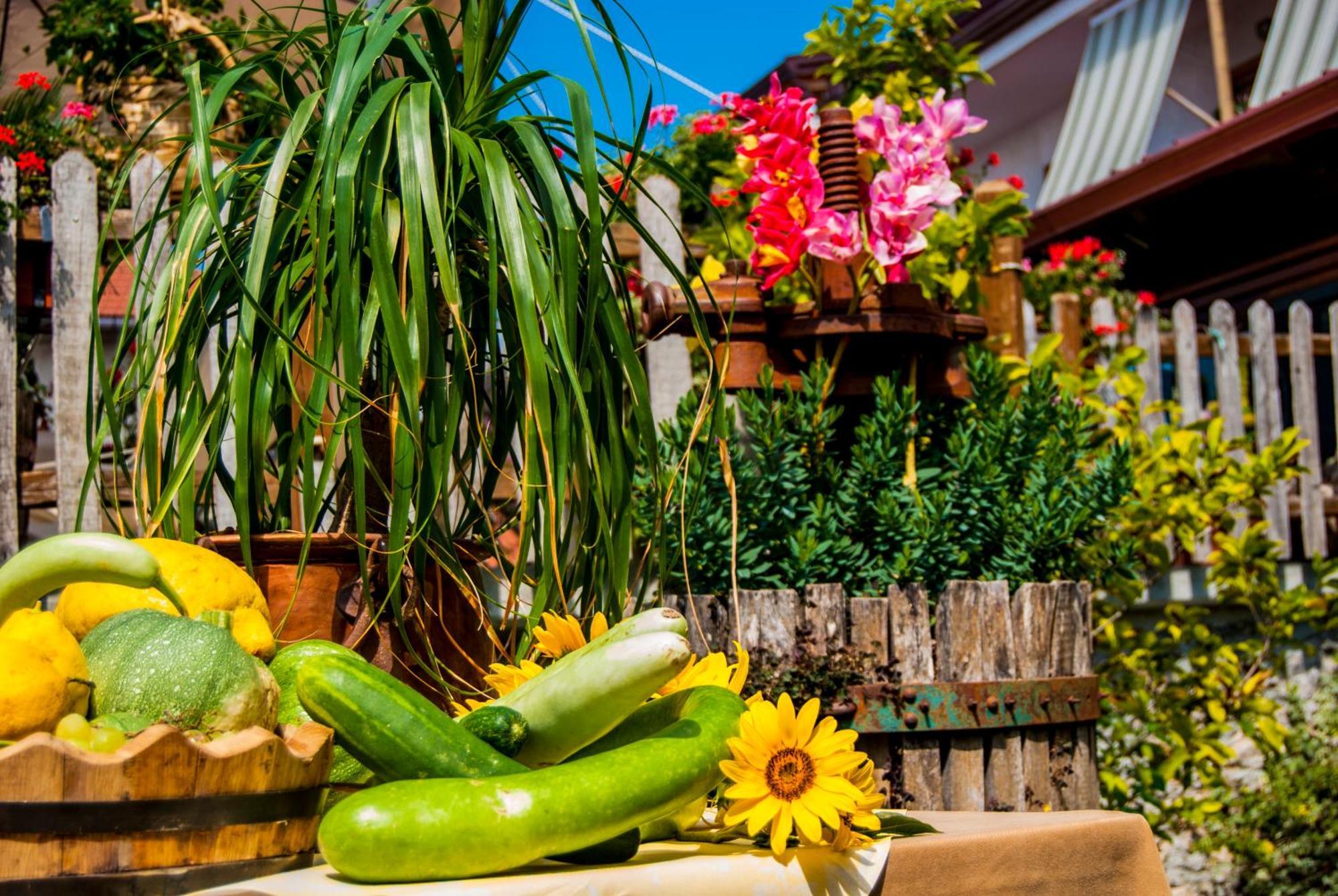 Agriturismo Mare E Monti Villa Agerola Bagian luar foto