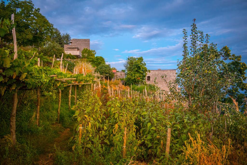 Agriturismo Mare E Monti Villa Agerola Bagian luar foto