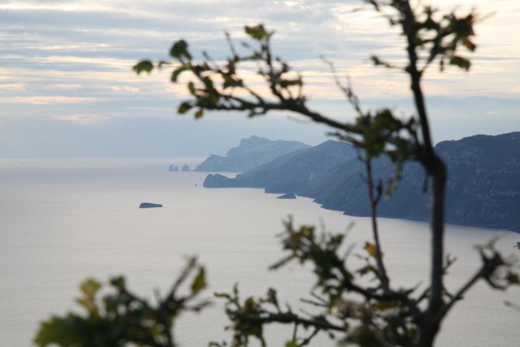 Agriturismo Mare E Monti Villa Agerola Bagian luar foto