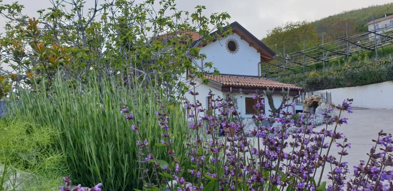 Agriturismo Mare E Monti Agerola Bagian luar foto