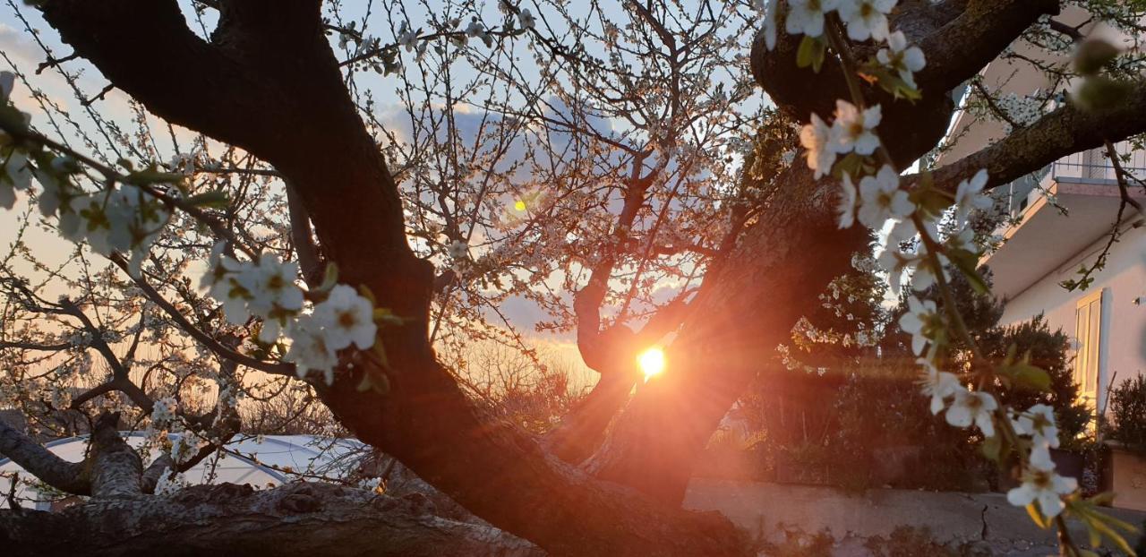 Agriturismo Mare E Monti Agerola Bagian luar foto